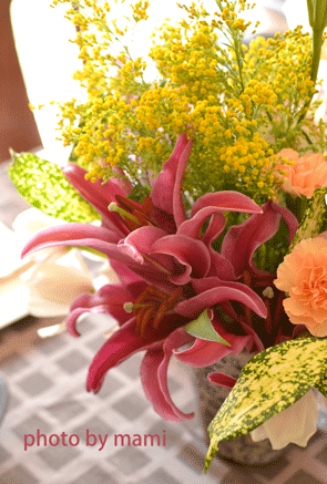 e0199080_15332428.gif