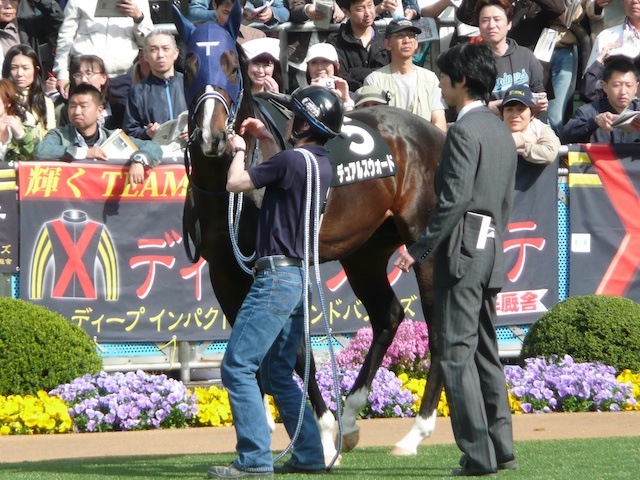 a0036685_042925.jpg