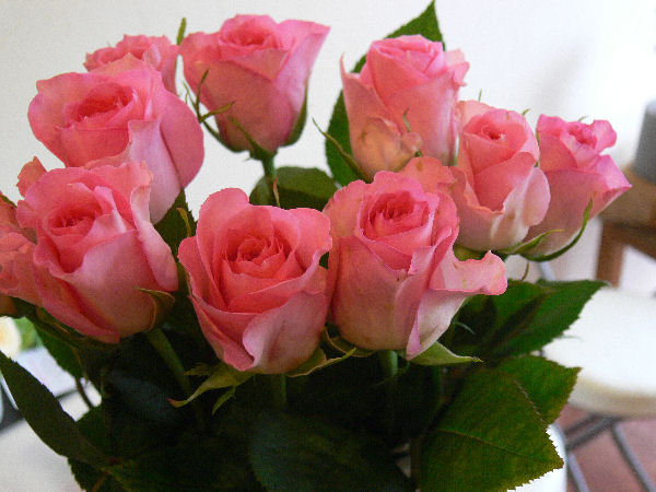 e0140986_13113046.jpg