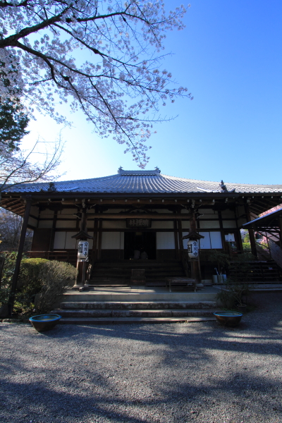 e0051888_222446.jpg