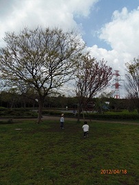 d0159691_2225676.jpg