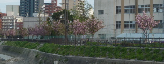 f0166694_19255641.jpg