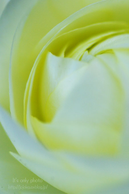 e0008800_23424614.jpg