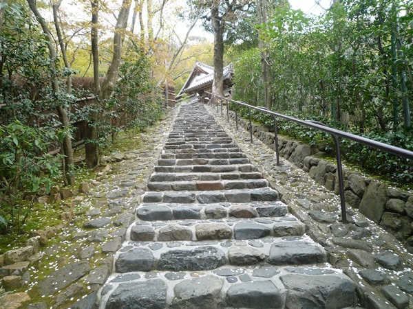 d0057701_842278.jpg