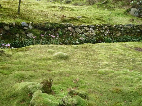 d0057701_9314057.jpg