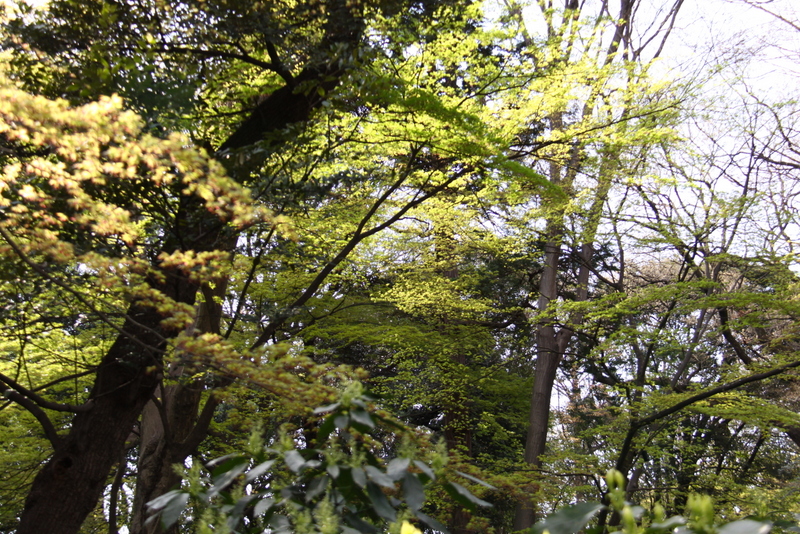 d0248502_703895.jpg