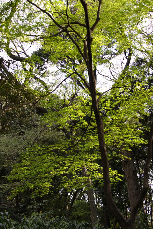 d0248502_713571.jpg