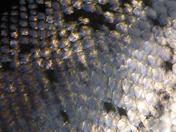 b0229003_15293491.jpg