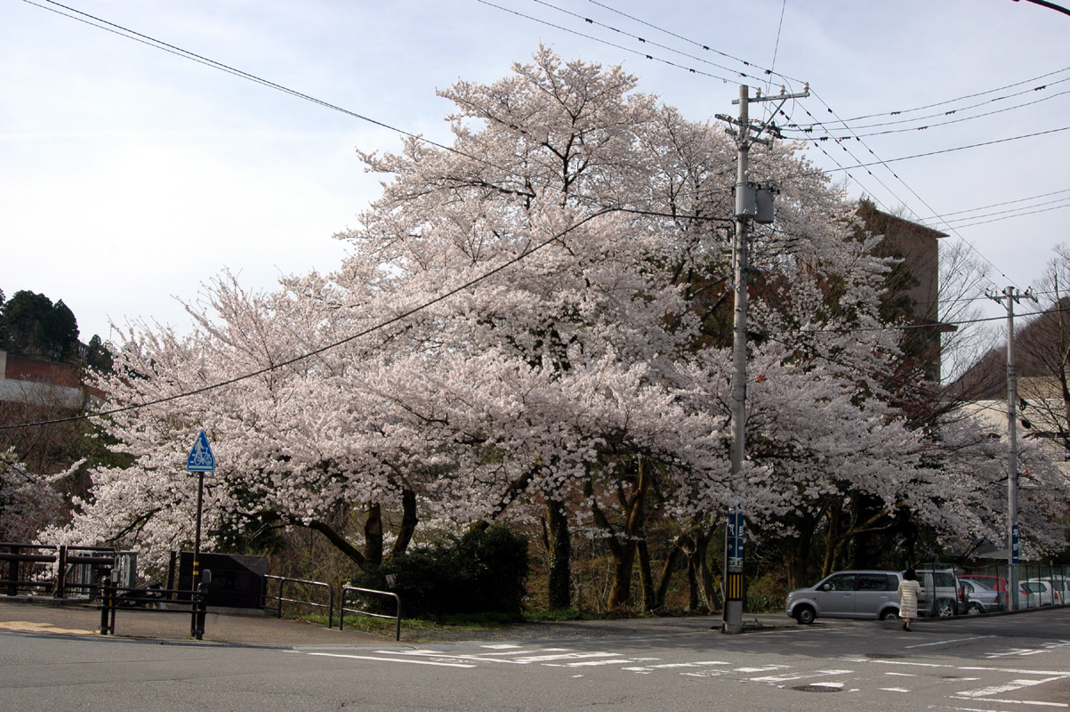 d0093903_23153965.jpg