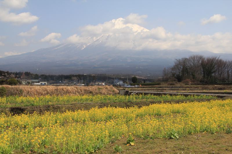 a0188405_1619489.jpg
