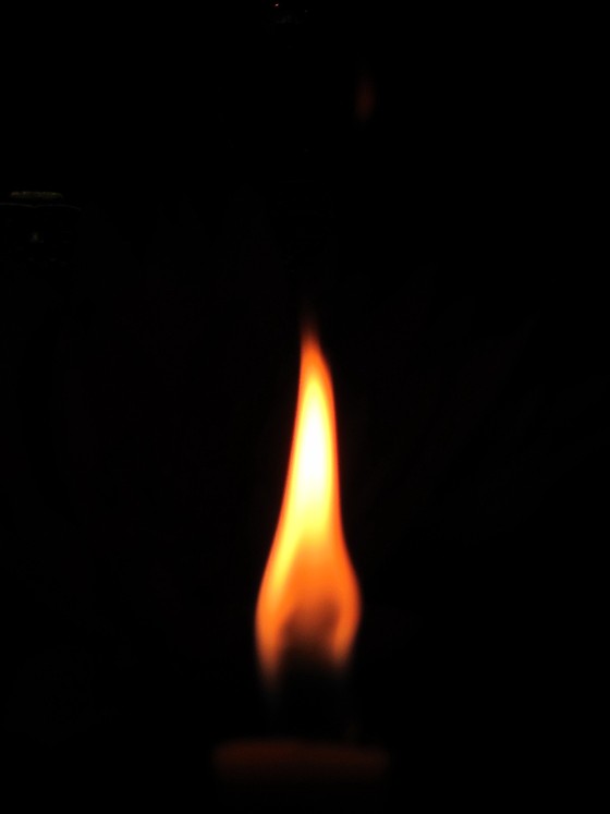 f0205609_2052035.jpg