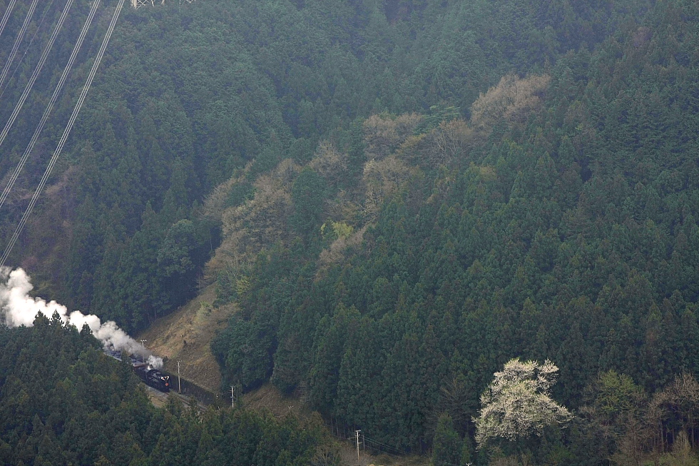 b0190710_23533046.jpg