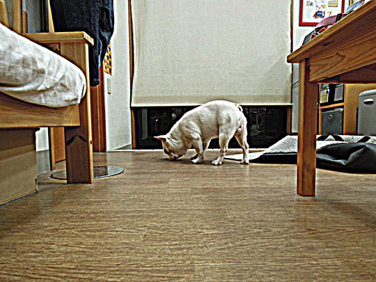 a0158613_2294223.jpg