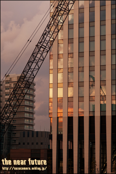 f0100215_059569.jpg