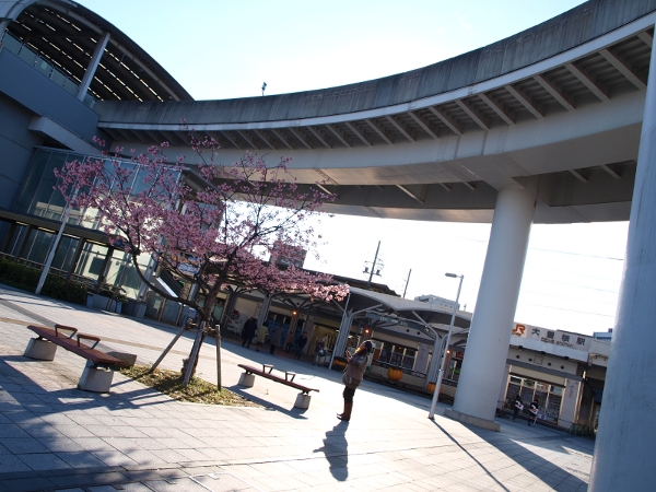 d0114517_1129177.jpg