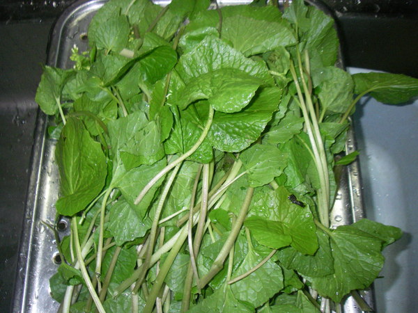 a0218118_941348.jpg