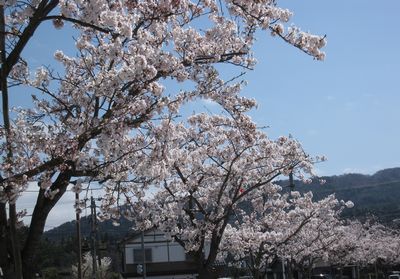 c0094218_19275885.jpg