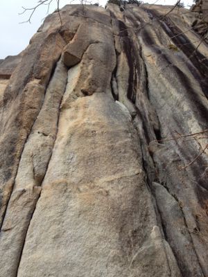 c0210618_211354.jpg