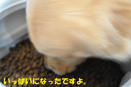 f0176830_1855356.jpg