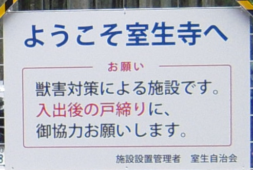 b0025633_0175267.jpg