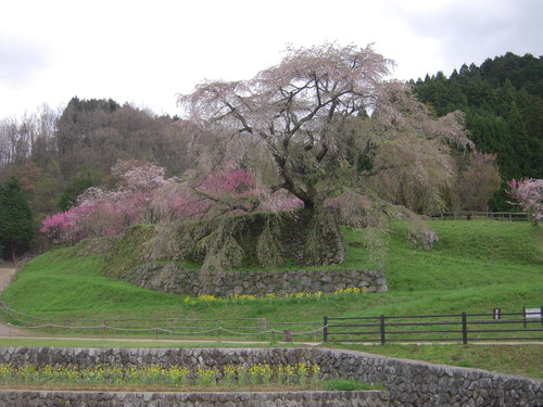 b0025633_23123672.jpg