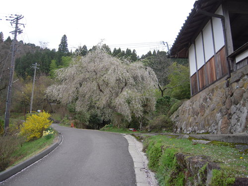 b0025633_23491472.jpg