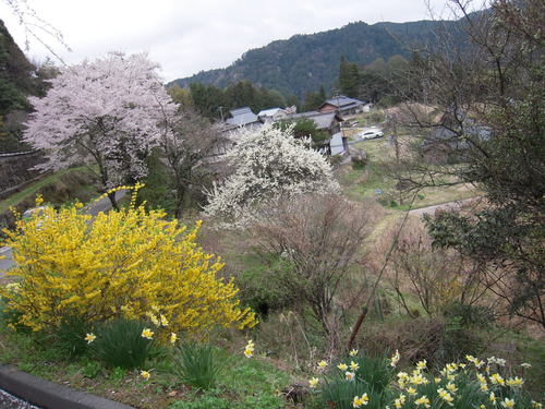 b0025633_23511611.jpg