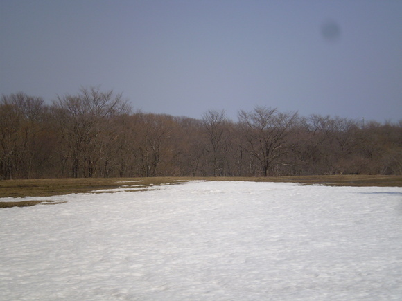 e0262235_1911360.jpg