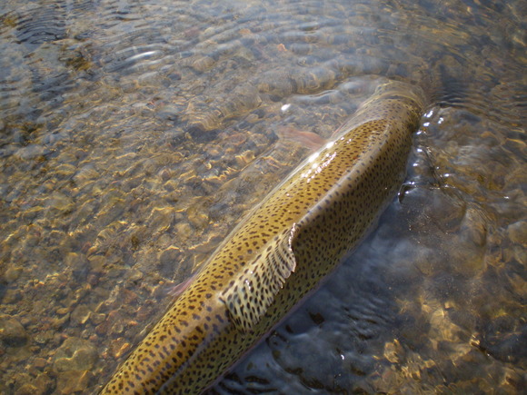e0262235_19582067.jpg