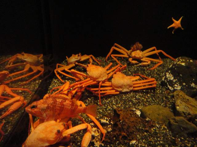 f0208737_8141486.jpg