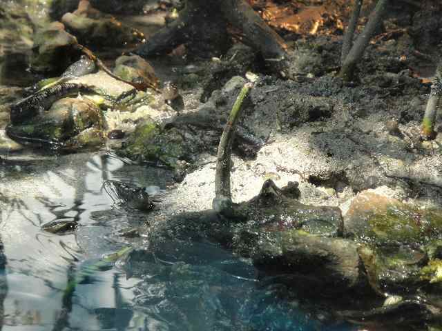 f0208737_863163.jpg