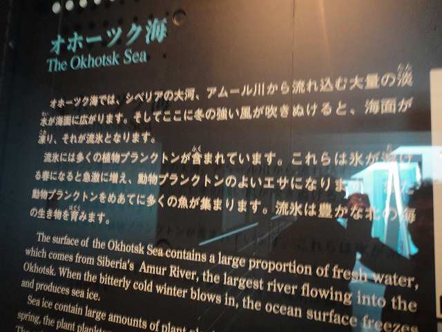 f0208737_88080.jpg