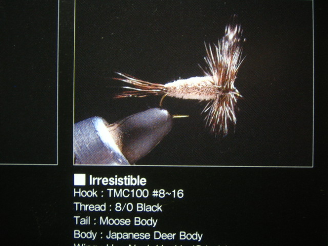 a0054043_15305728.jpg