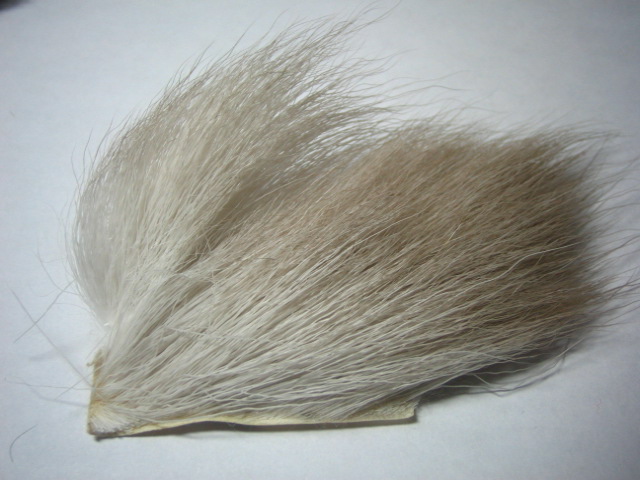a0054043_1622837.jpg