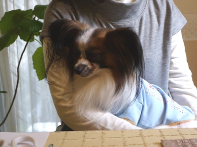 e0100046_2341412.jpg