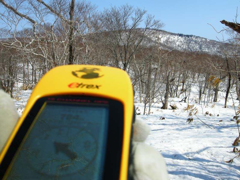 c0077847_17393429.jpg