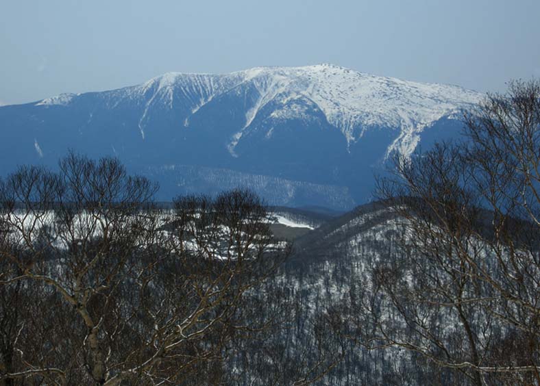 c0077847_21151141.jpg