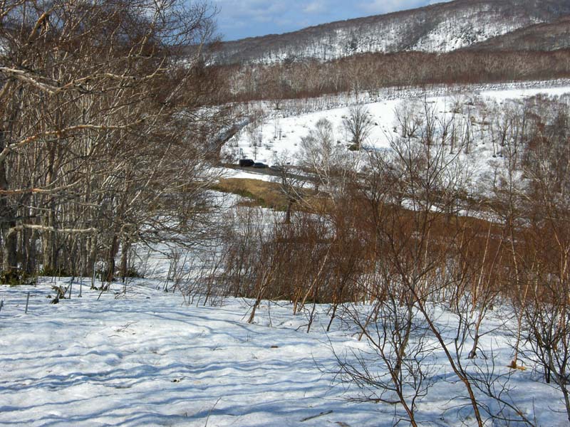 c0077847_21262196.jpg