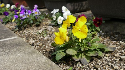 c0220047_14343986.jpg
