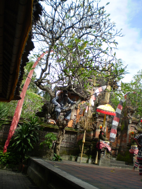d0103548_234622.jpg