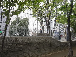d0063149_21524954.jpg