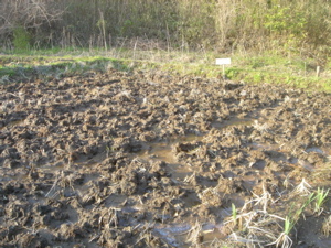 d0112350_21461410.jpg