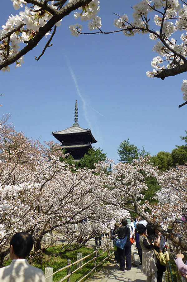 f0190950_1145542.jpg