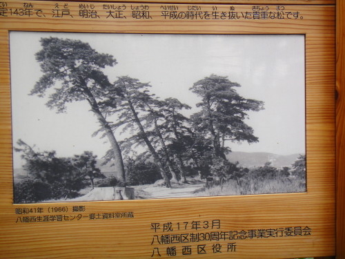 c0179351_113121.jpg