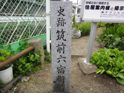 c0179351_1145144.jpg