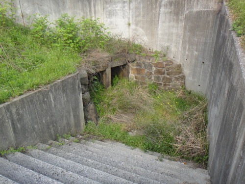 c0179351_9184194.jpg