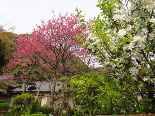 c0179351_9255671.jpg