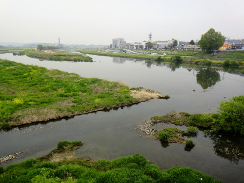 c0179351_9561018.jpg