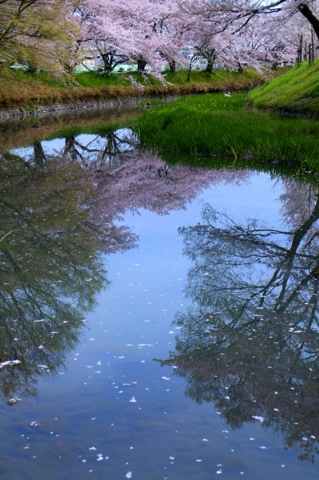 e0131161_192152100.jpg