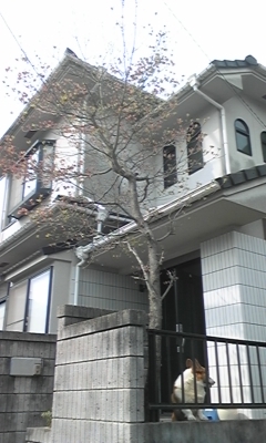 e0143667_14102968.jpg